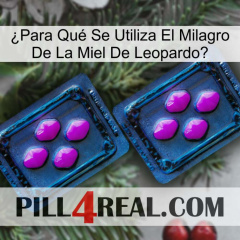 ¿Para Qué Se Utiliza El Milagro De La Miel De Leopardo 03